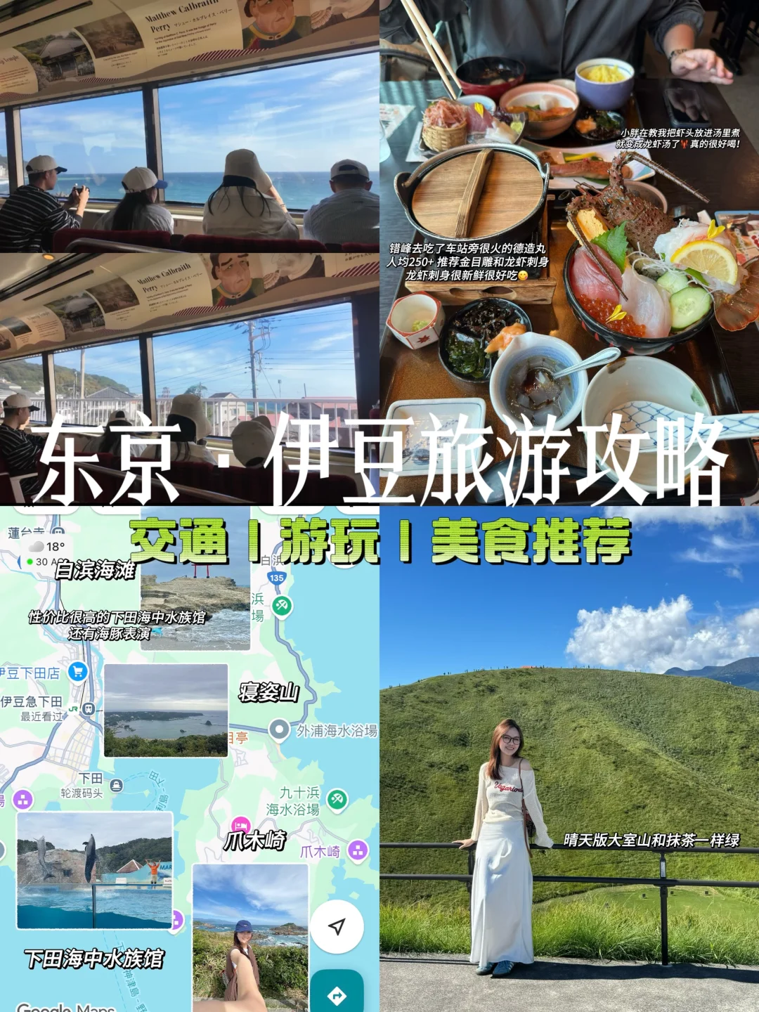 伊豆两天一夜旅游攻略⛰️日本的精髓都在乡下