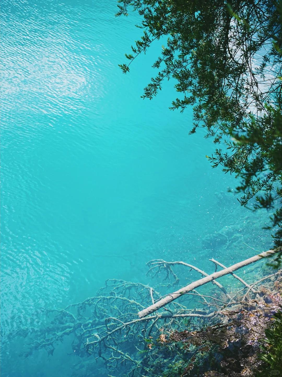玉龙雪山❗️不做攻略真的太多坑（含详细攻略