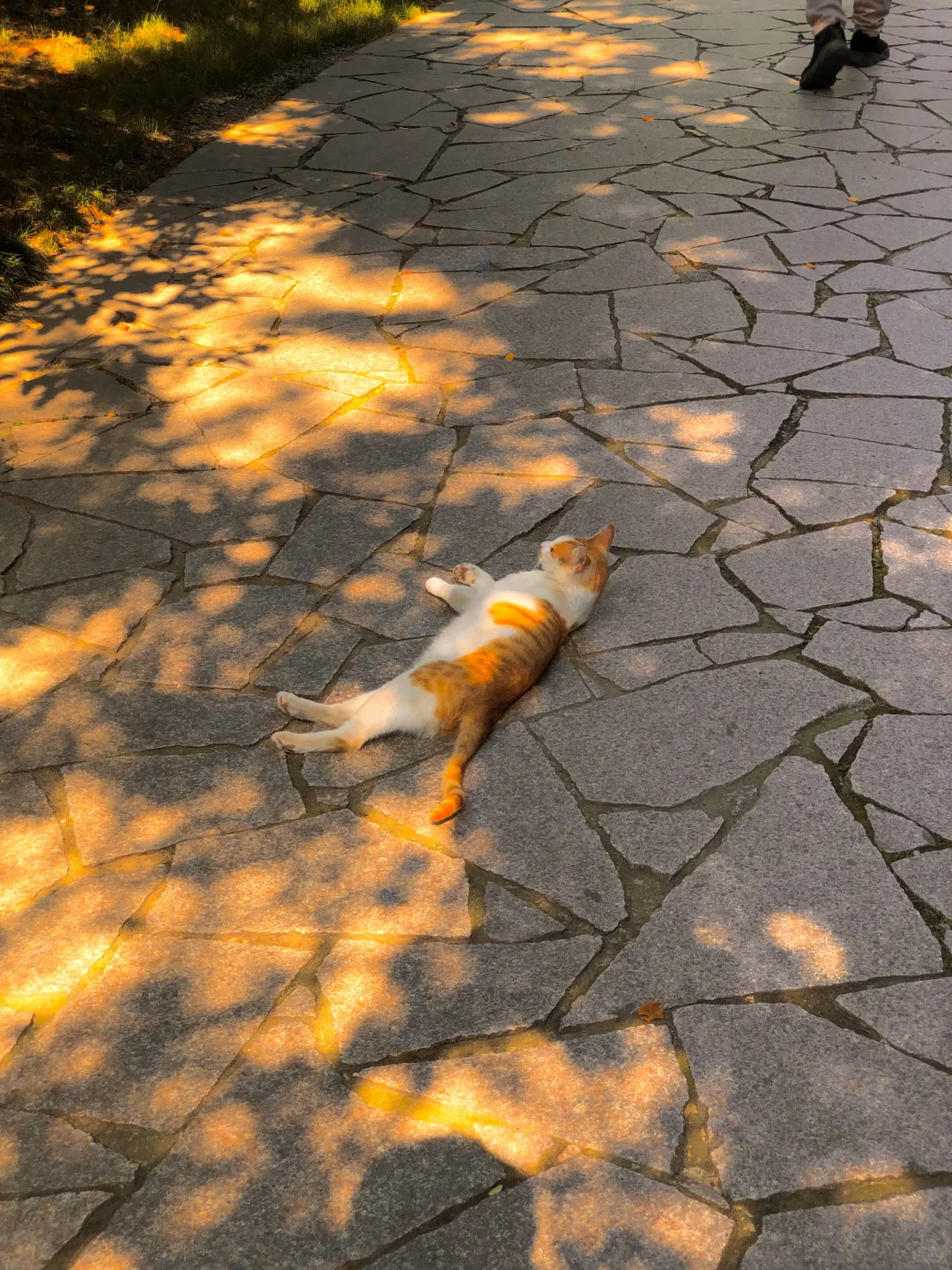 苏轼的人生建议：一定要去趟虎丘❗️