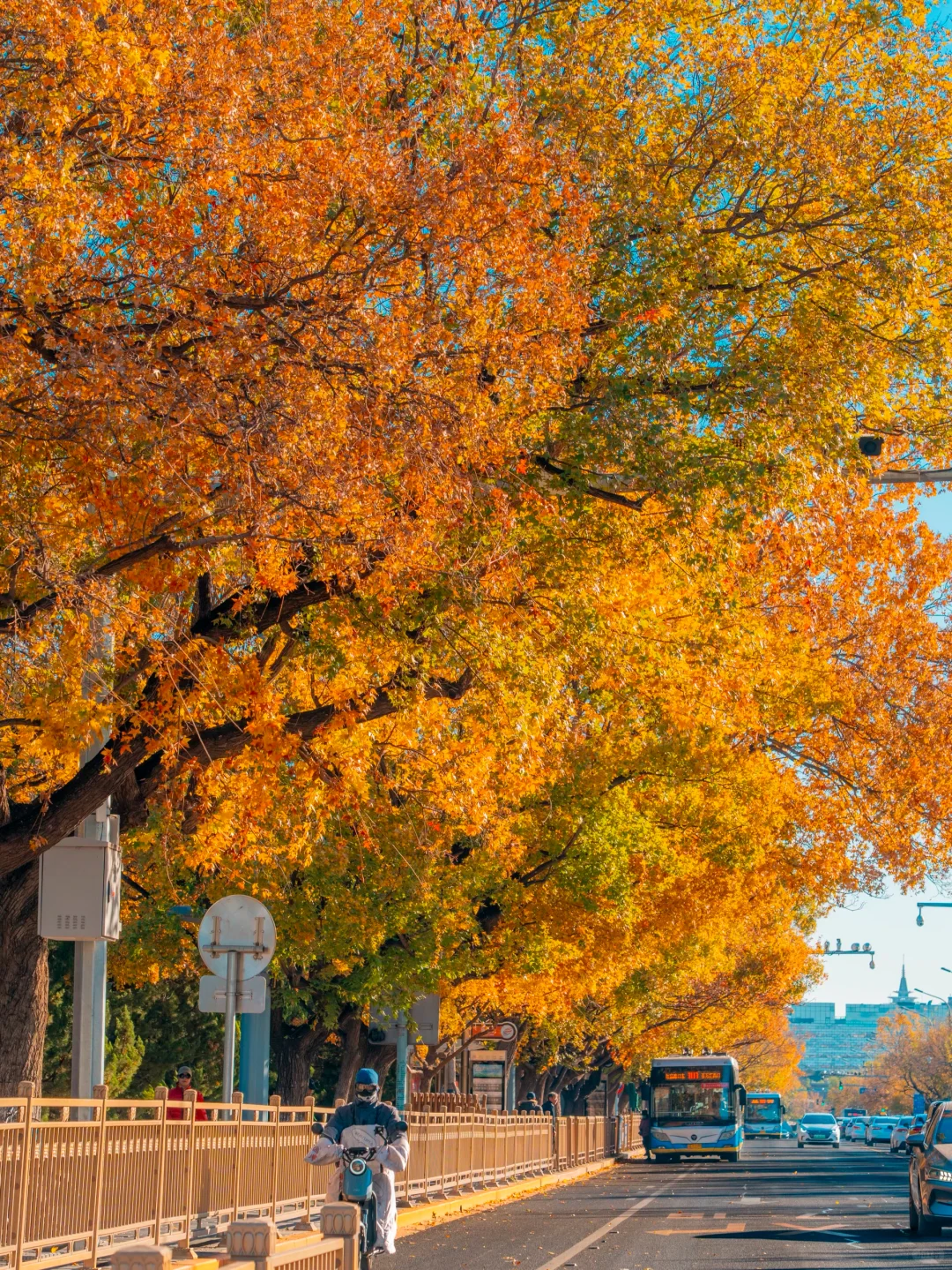 迄今为止❗️我最爱的北京赏秋citywalk 路线