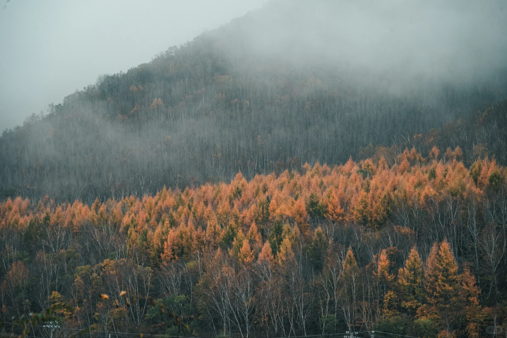 阿尔山平替!张家口这水库秋景美到窒息