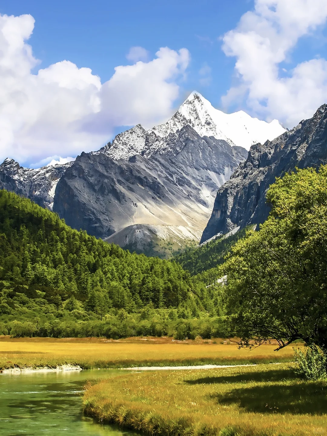 国内赏秋全攻略🍂胜地盘点（上）‼️