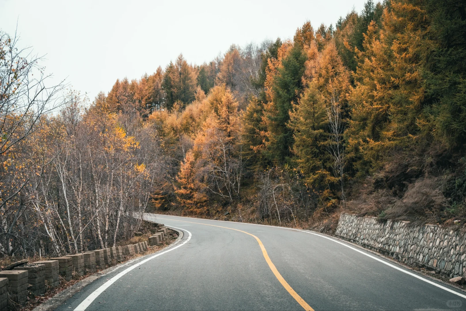 阿尔山平替!张家口这水库秋景美到窒息