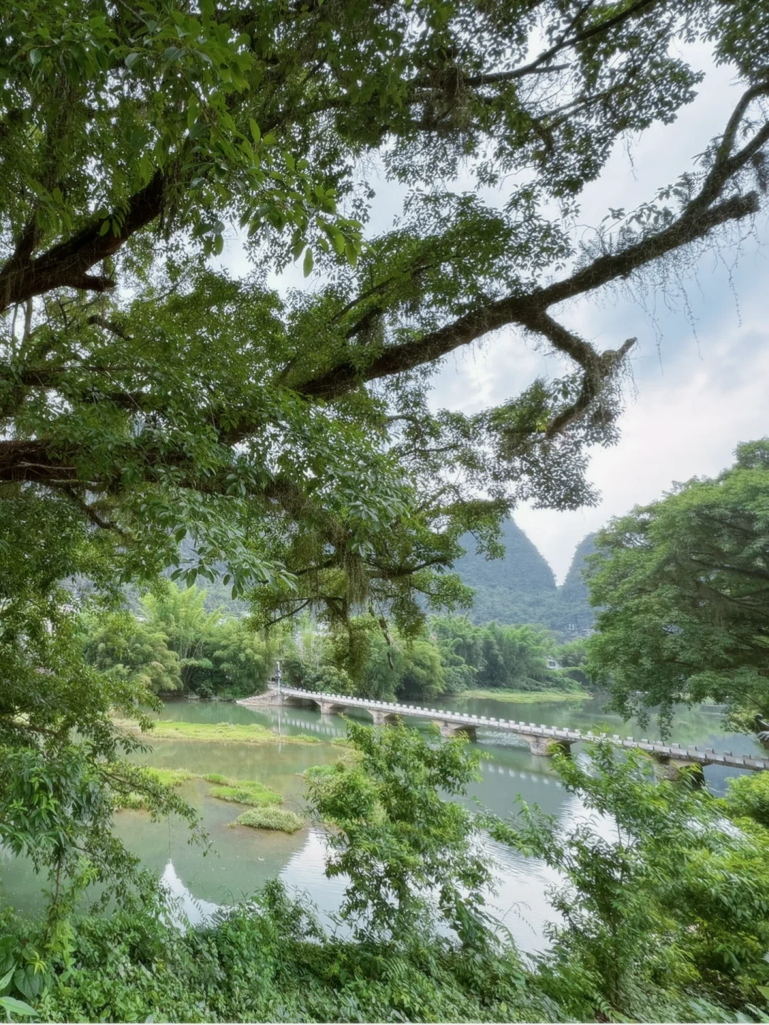 别只盯着桂林！河池周边这处小众仙境绝了⛰️