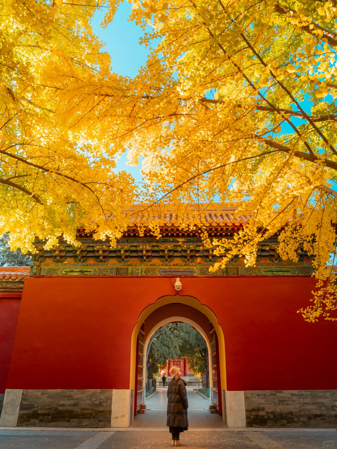 迄今为止❗️我最爱的北京赏秋citywalk 路线