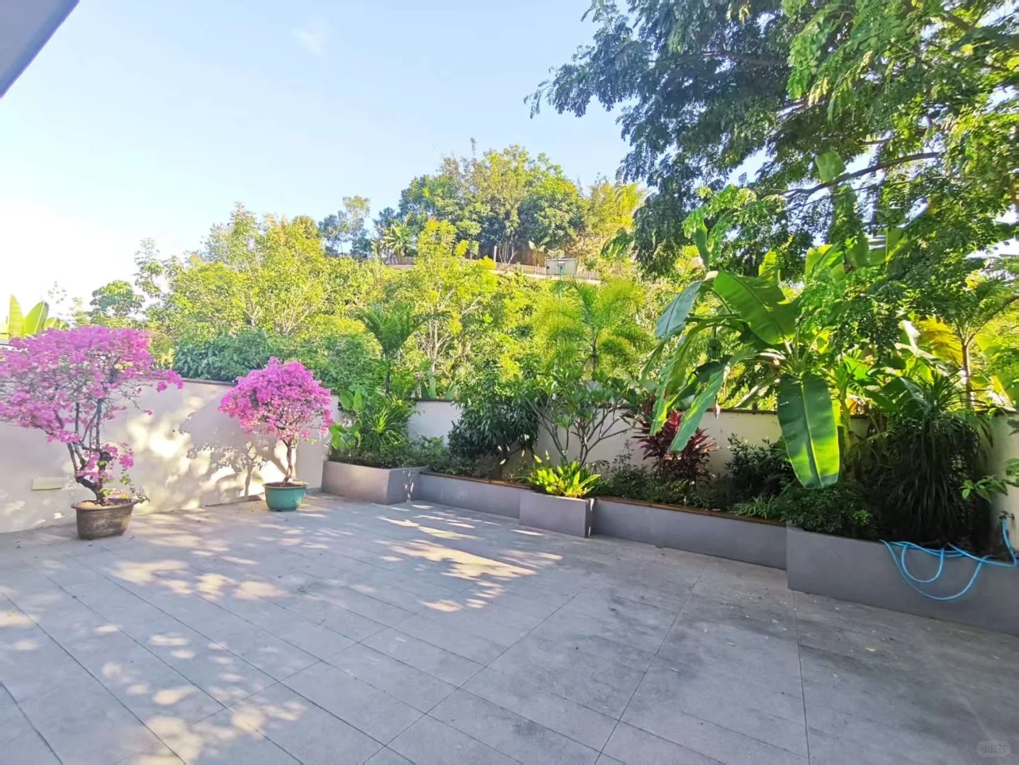 西双版纳11月旅游攻略