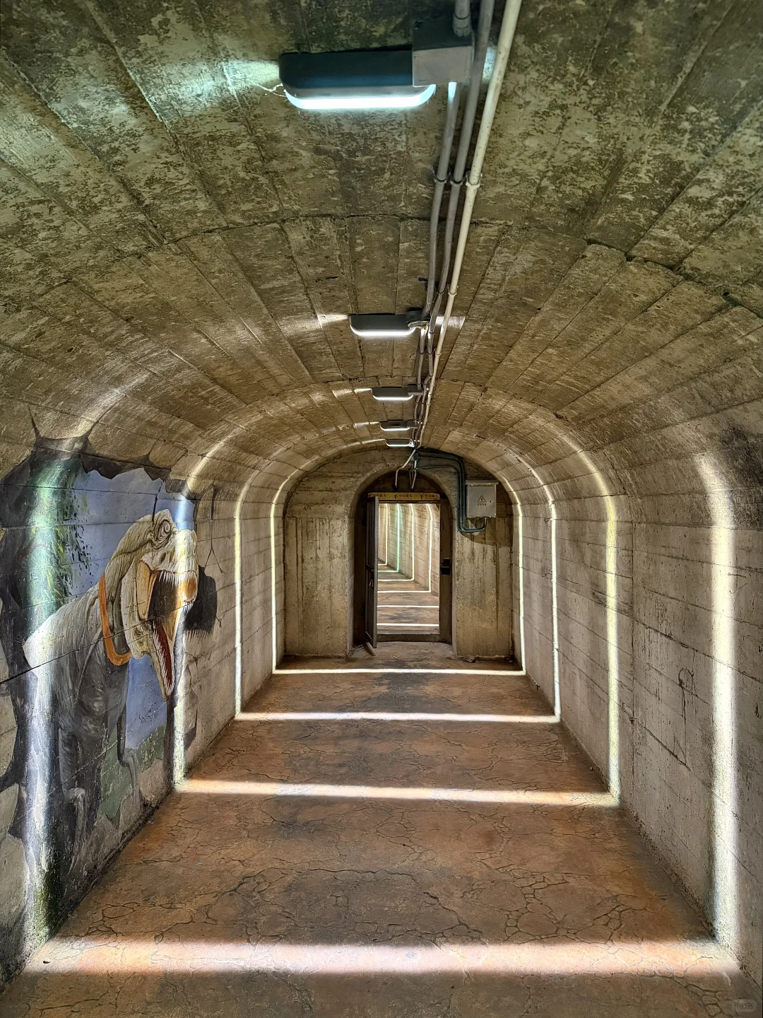 嘉兴丰义｜“最美落日”（CityWalk必打卡路线）