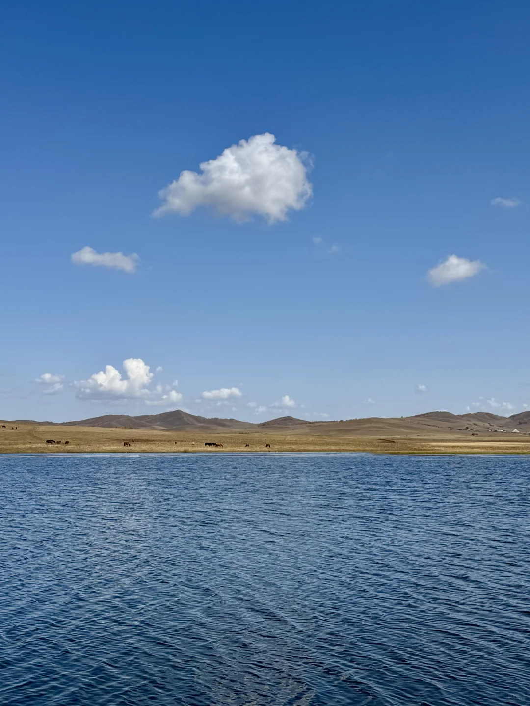 内蒙自驾实时分享|乌兰布统2025年最新攻略