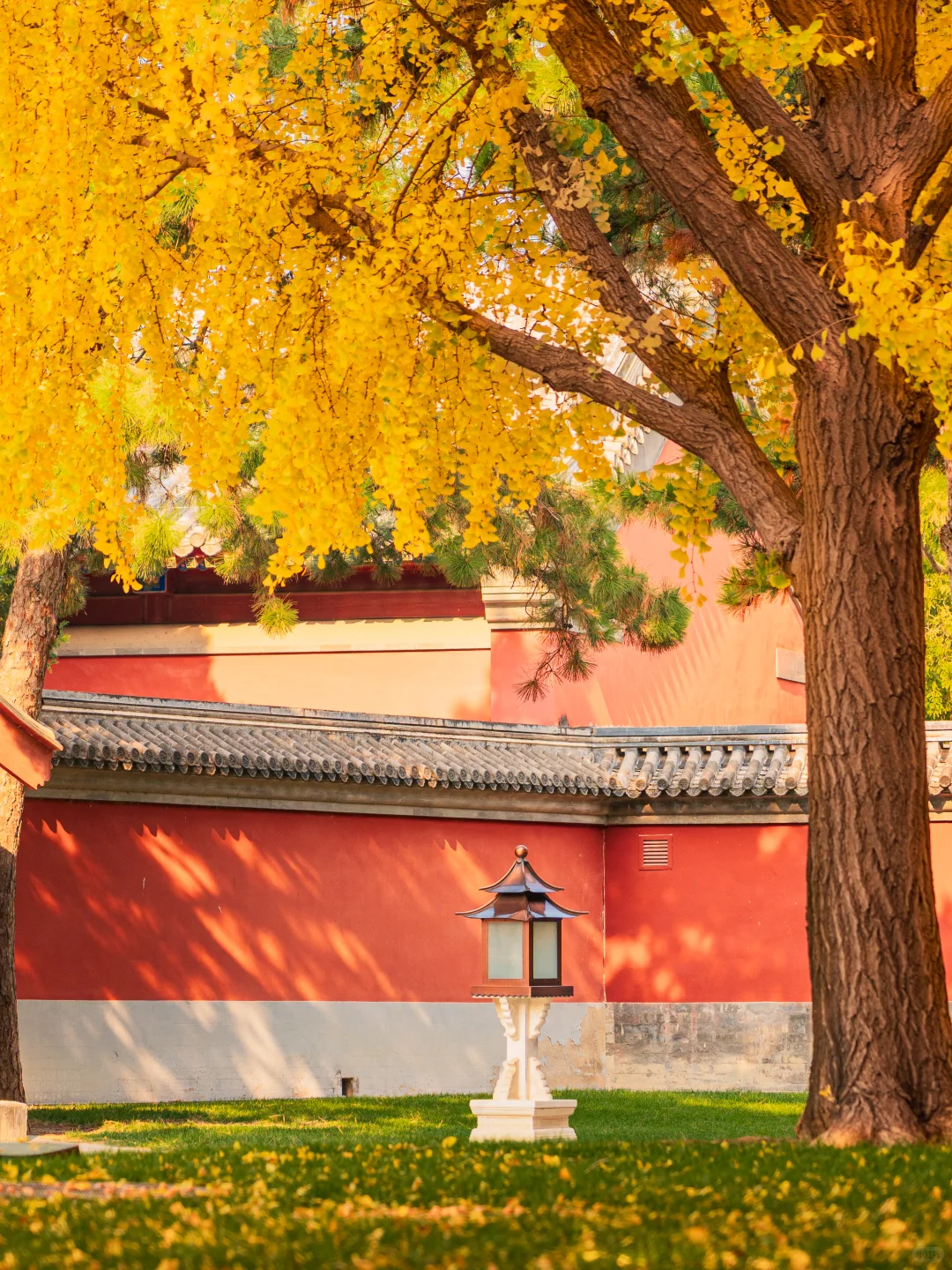 迄今为止❗️我最爱的北京赏秋citywalk 路线