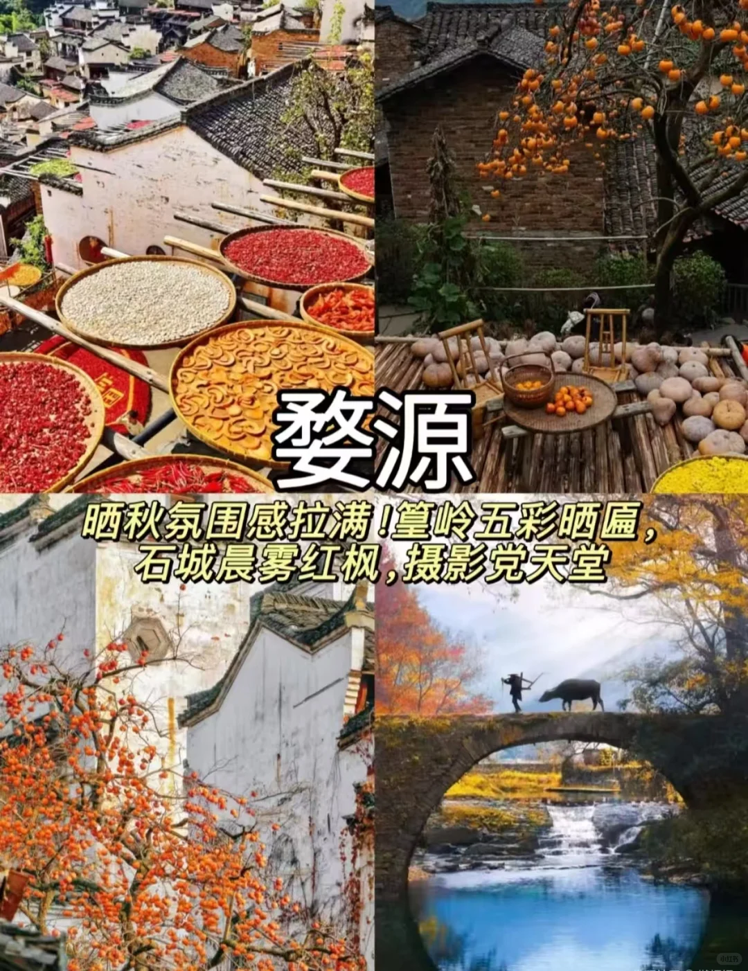 10-12月最适合慢慢品的9座秋日小城