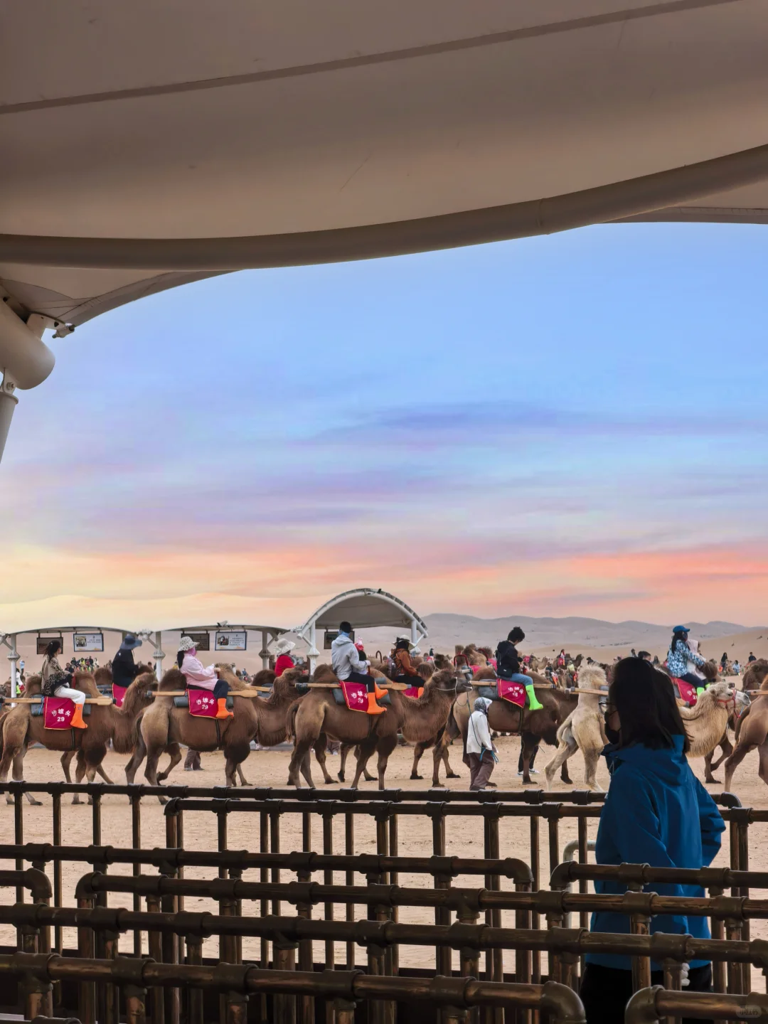 玩宁夏！只需要周内请假一天（攻略）