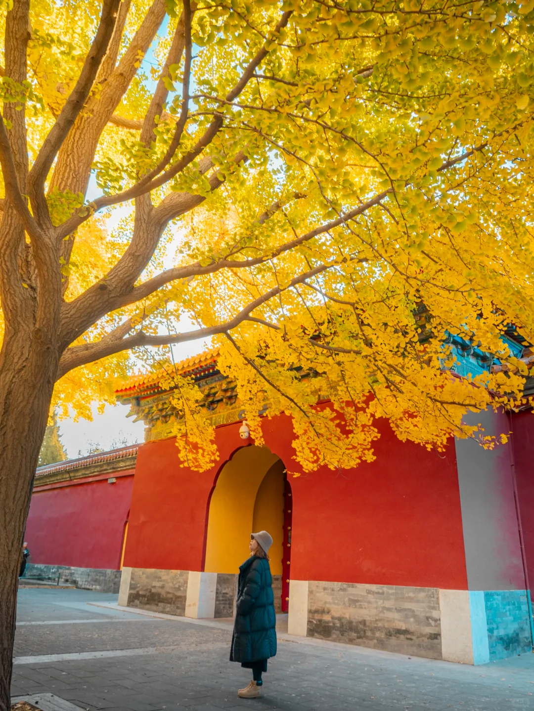 迄今为止❗️我最爱的北京赏秋citywalk 路线