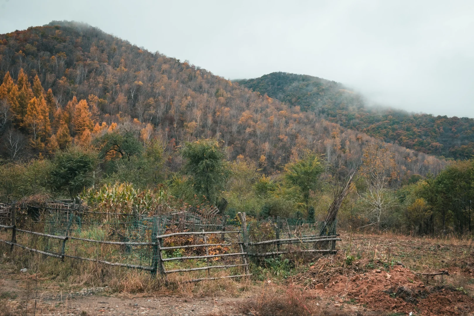 阿尔山平替!张家口这水库秋景美到窒息