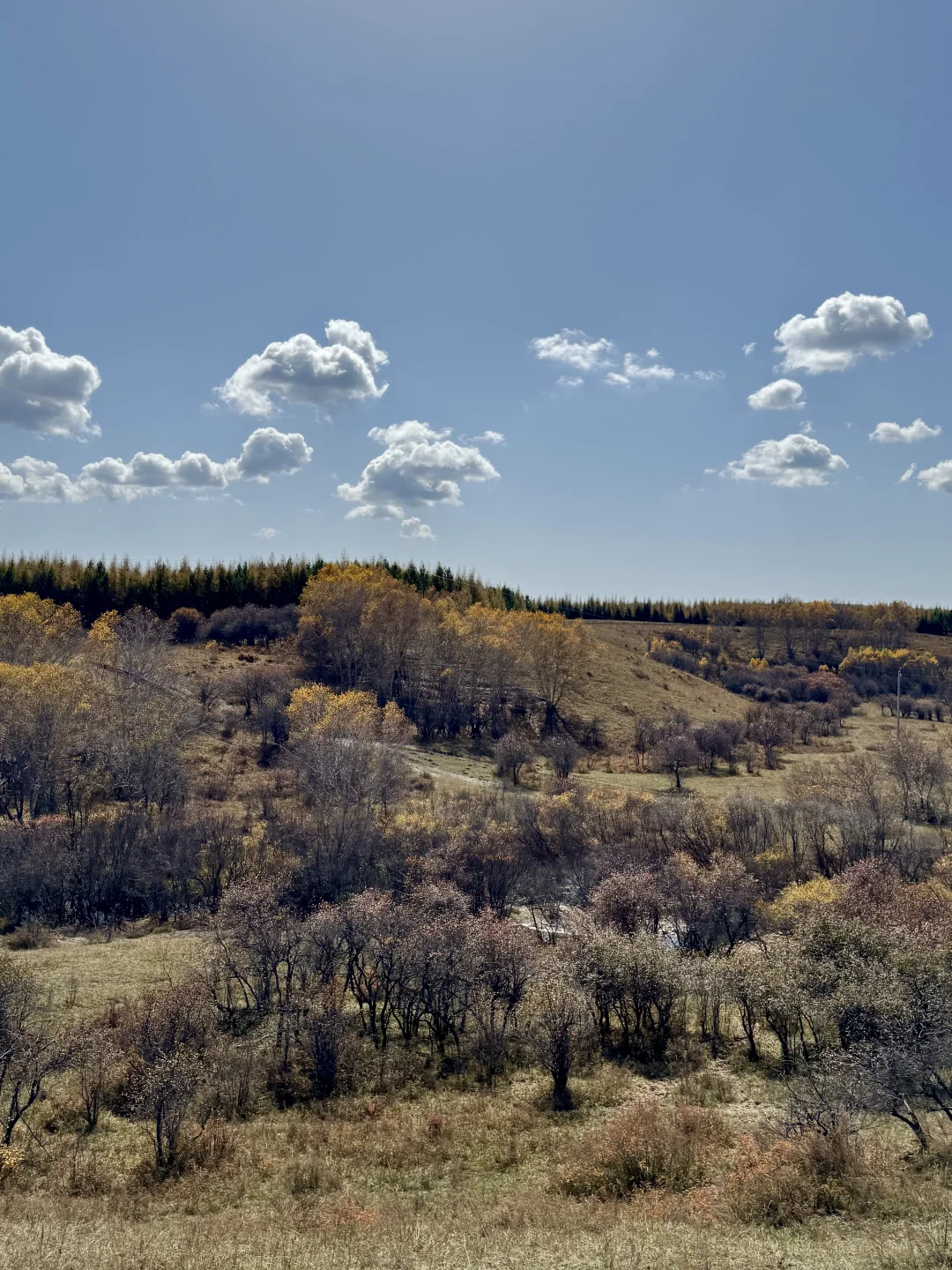 内蒙自驾实时分享|乌兰布统2025年最新攻略