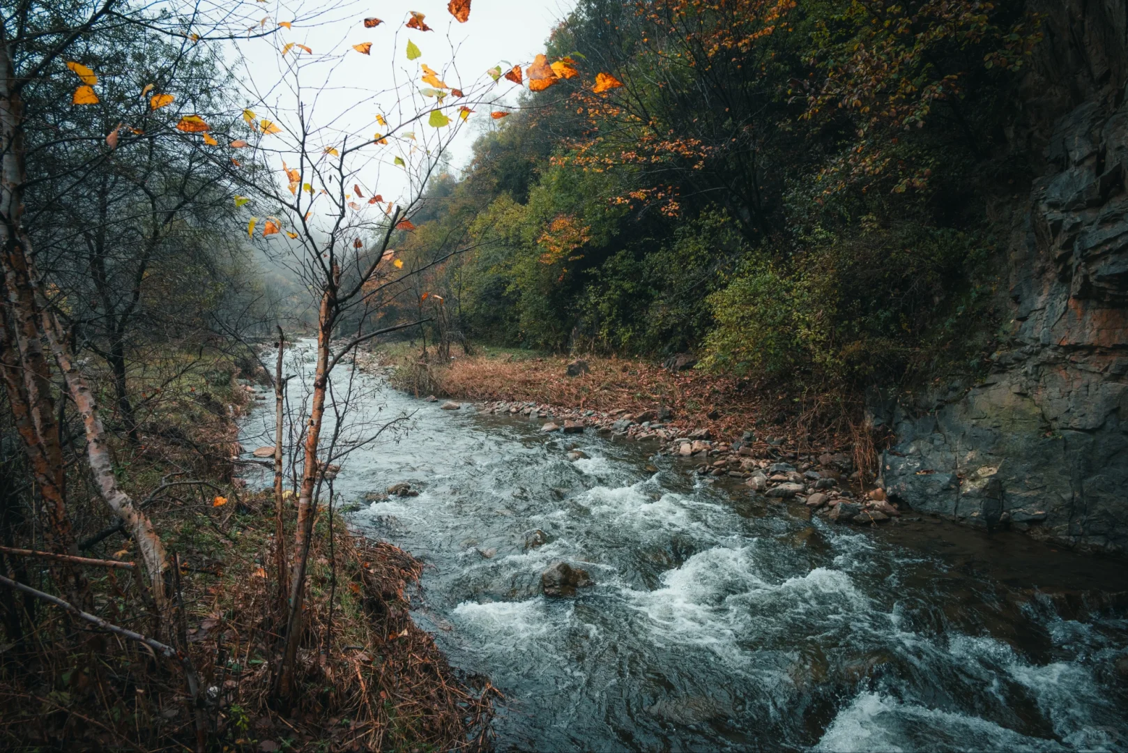 阿尔山平替!张家口这水库秋景美到窒息