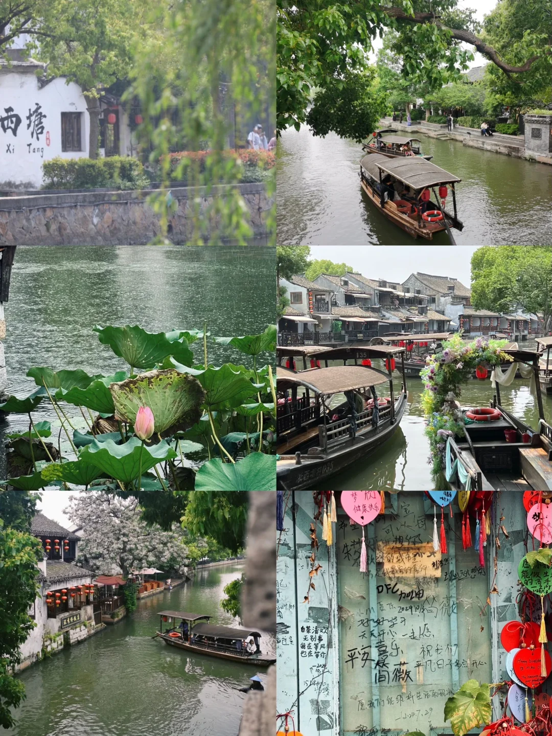 西塘的秋，有机会一定要开看