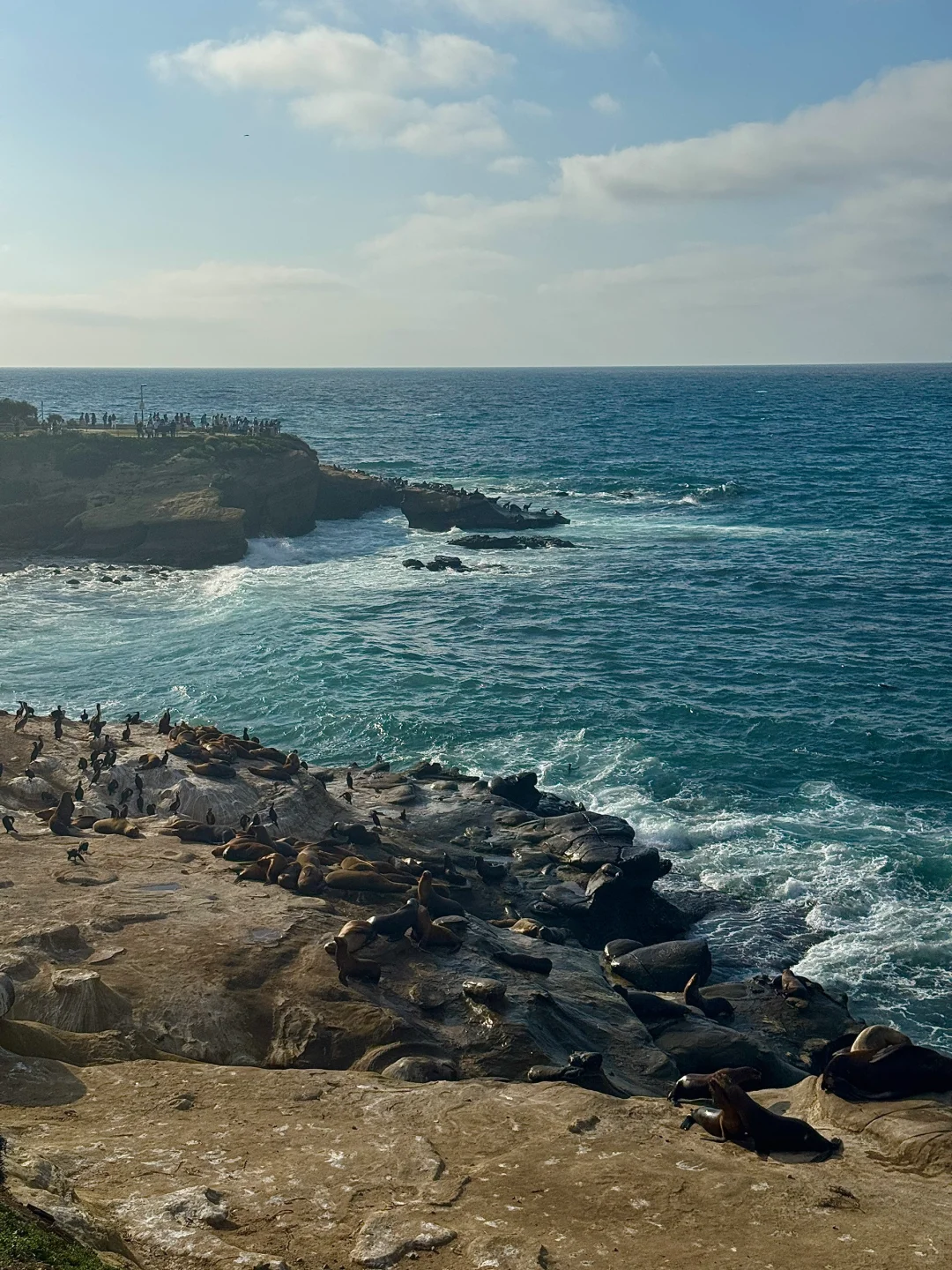 圣地亚哥3大必打卡景点！一日游攻略🌴