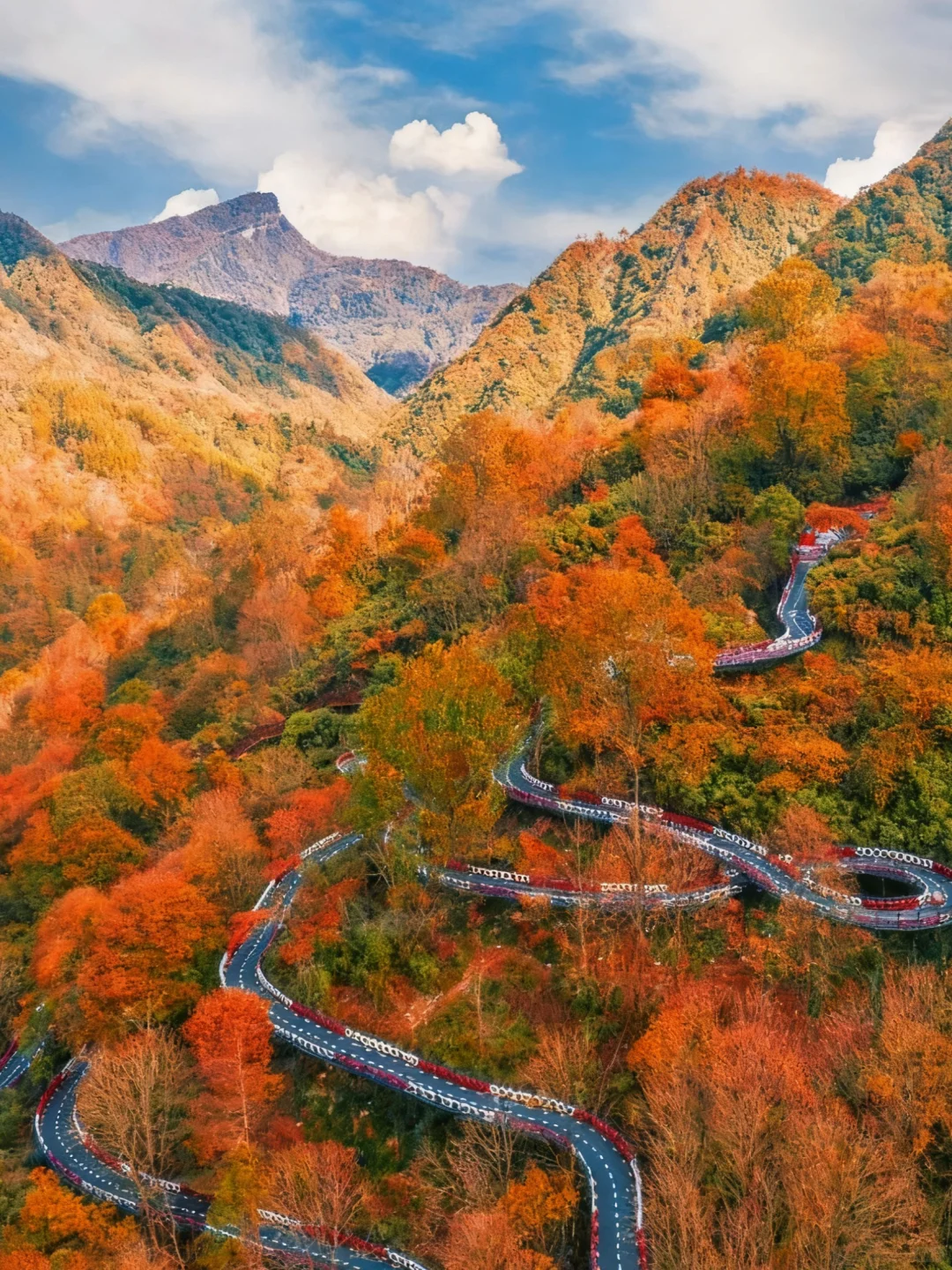 光雾山导览图｜按这个路线走，一天玩遍精华