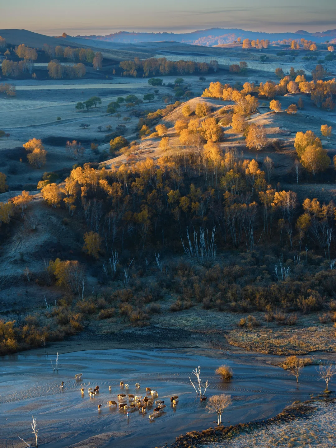 国内赏秋全攻略🍂胜地盘点（上）‼️