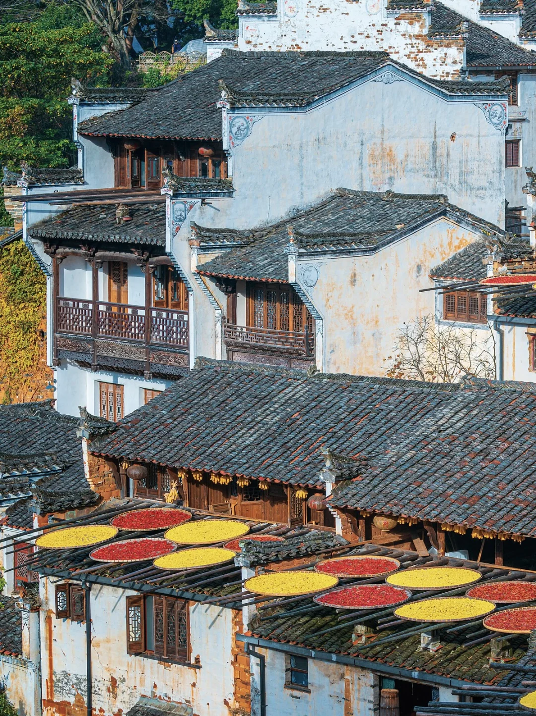 国内赏秋全攻略🍂胜地盘点（上）‼️