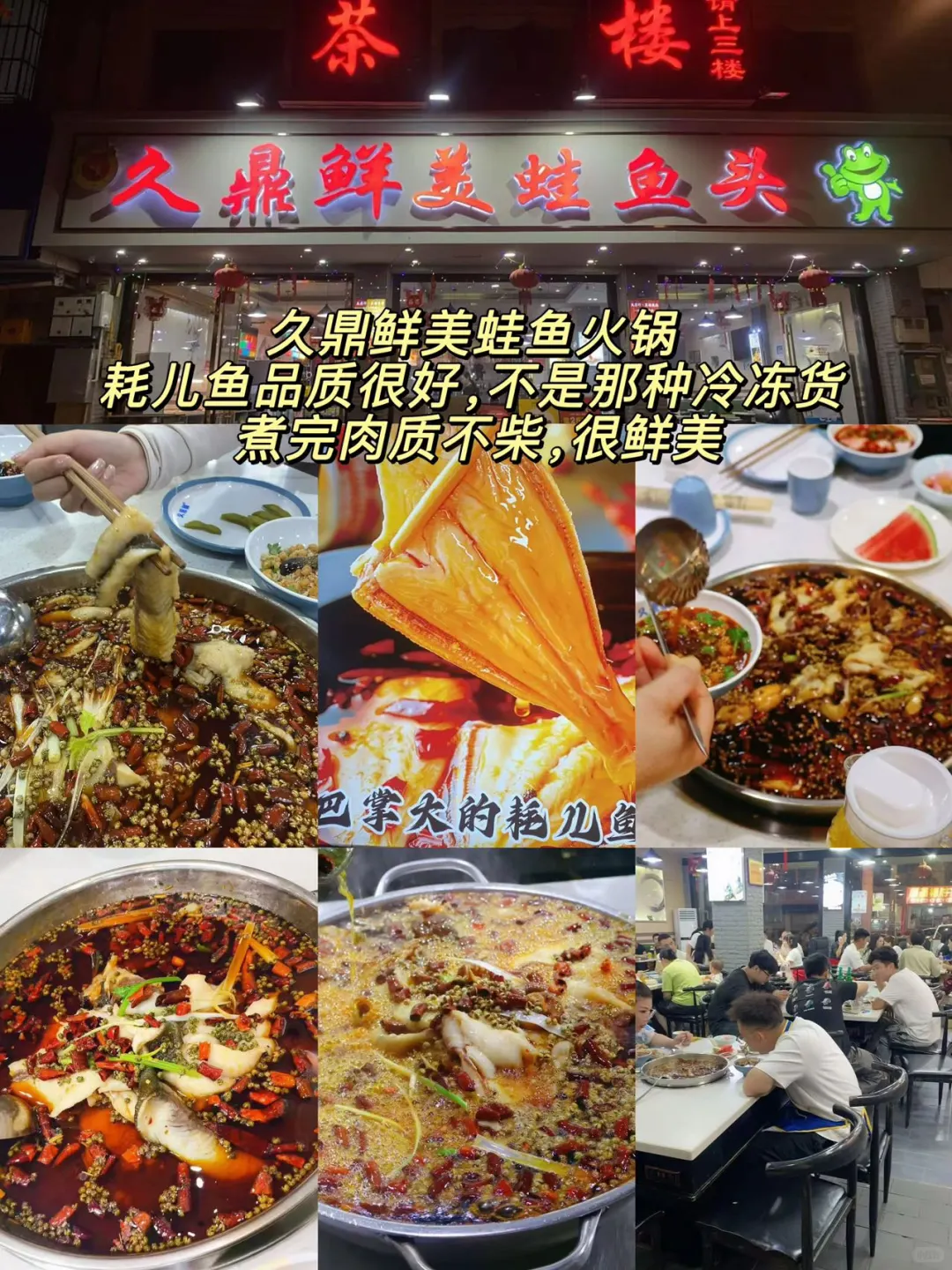 崇州必打卡景点｜避坑又省心