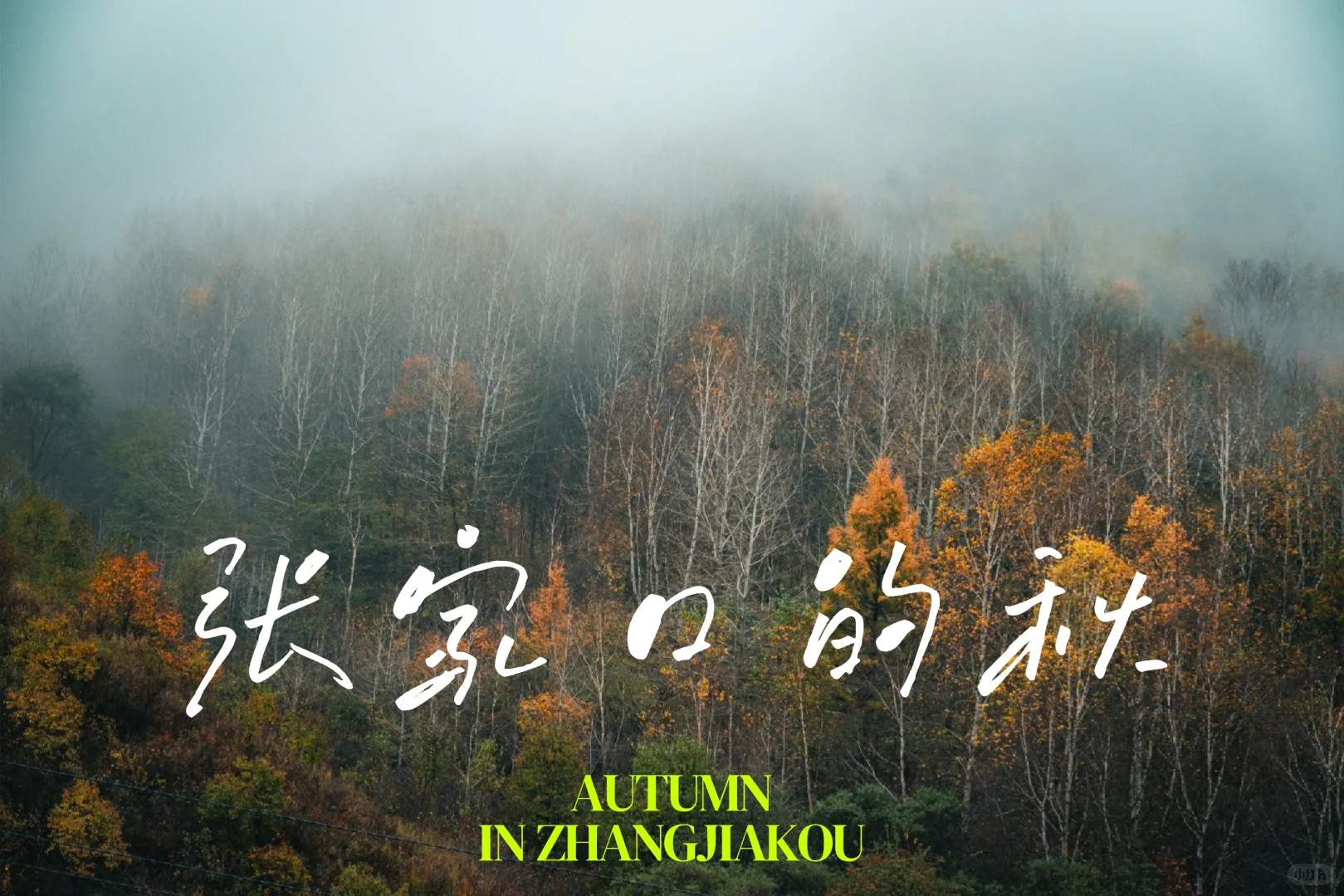 阿尔山平替!张家口这水库秋景美到窒息