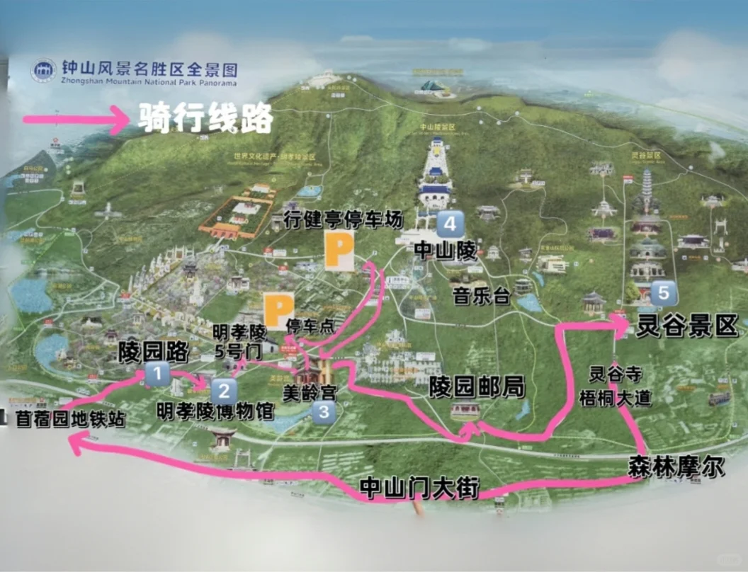 钟山风景区已回,真心建议骑车的听劝!