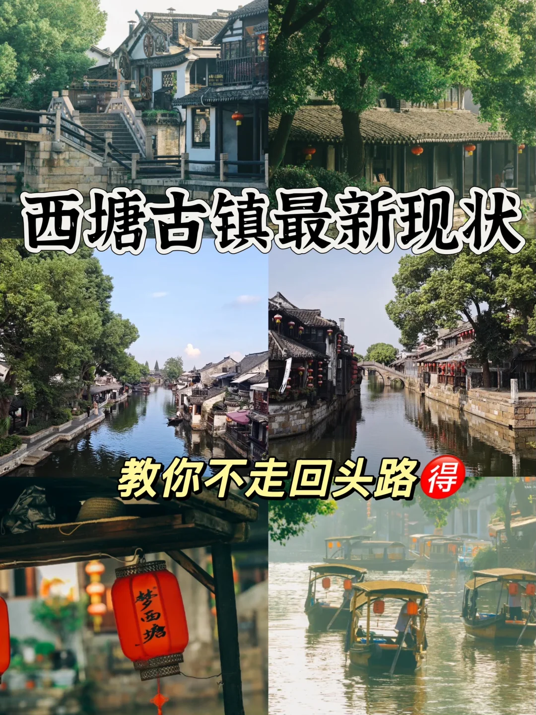 西塘的秋，有机会一定要开看