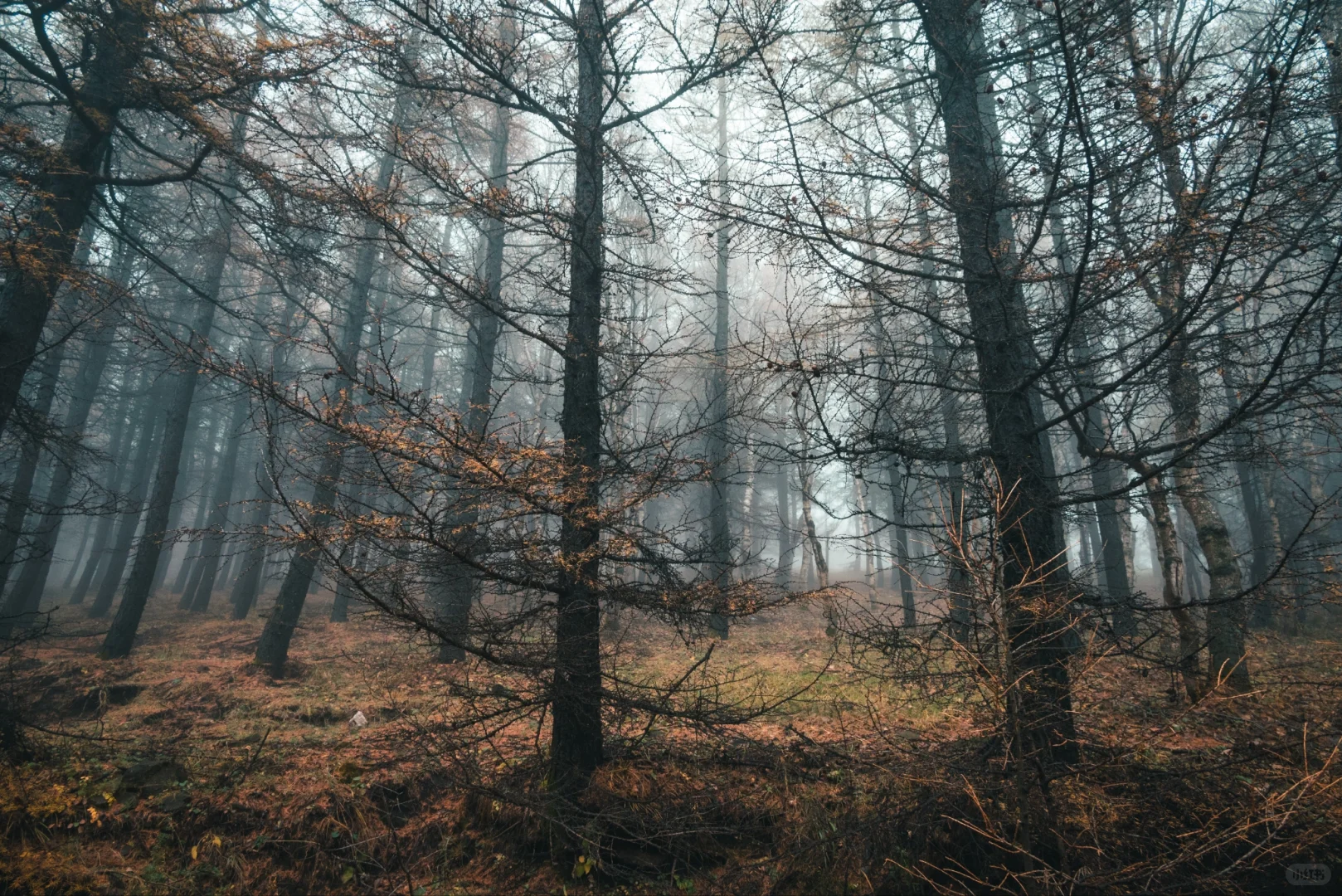 阿尔山平替!张家口这水库秋景美到窒息