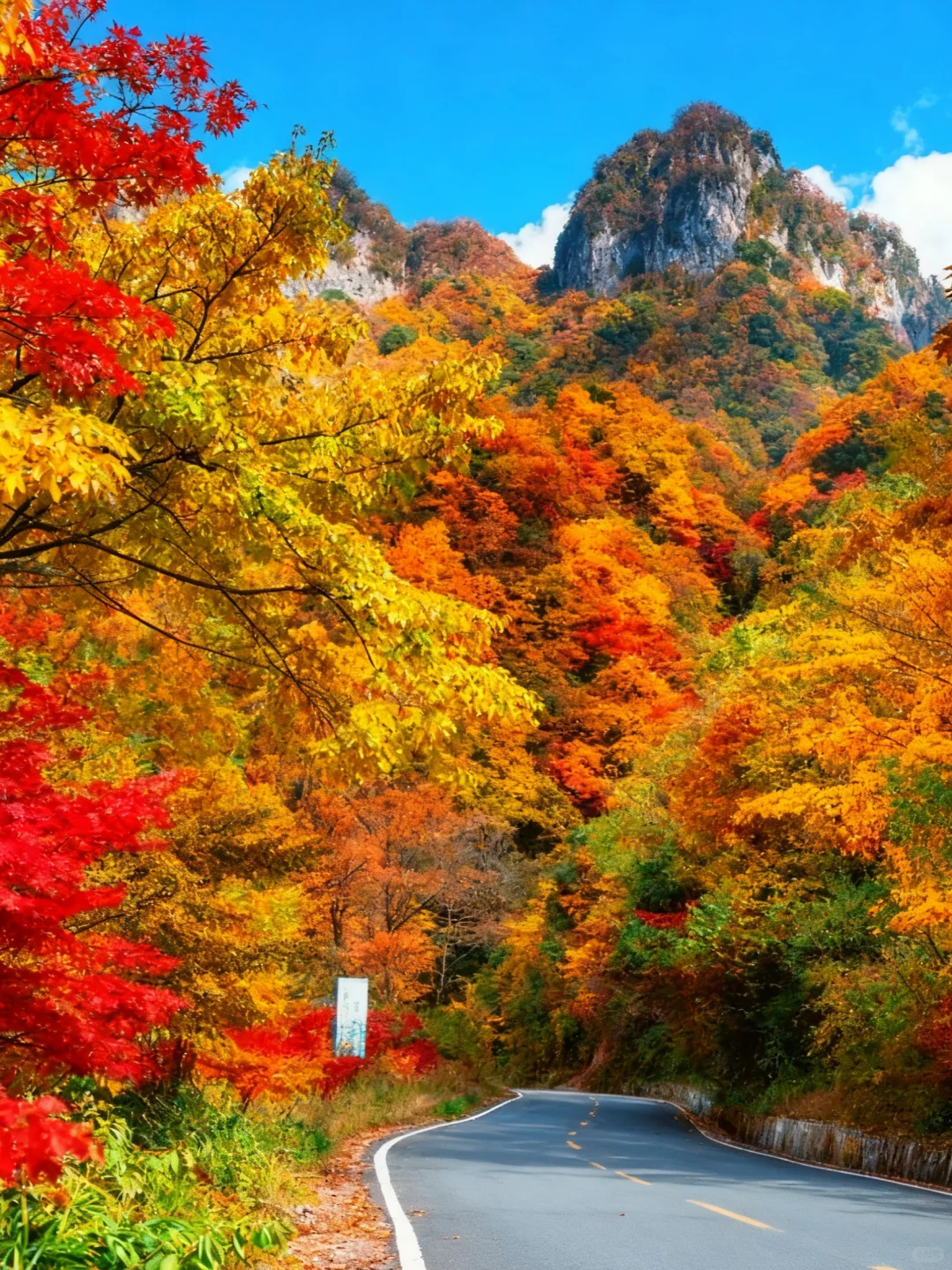 光雾山导览图｜按这个路线走，一天玩遍精华