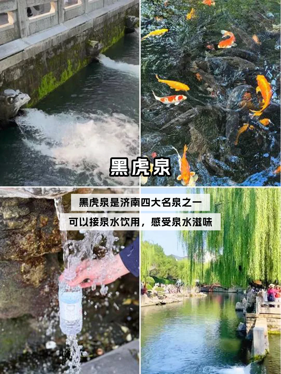 🚄济南1️⃣日游丨详细路线轻松不累