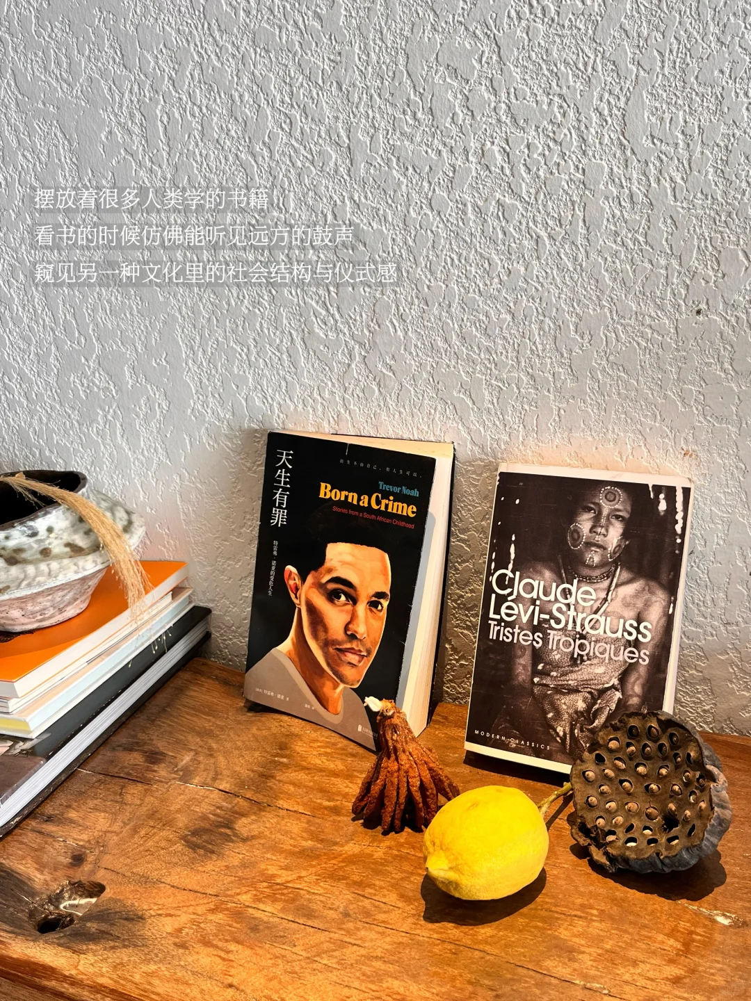 广州staycation|老广设计师的“部落绿洲”