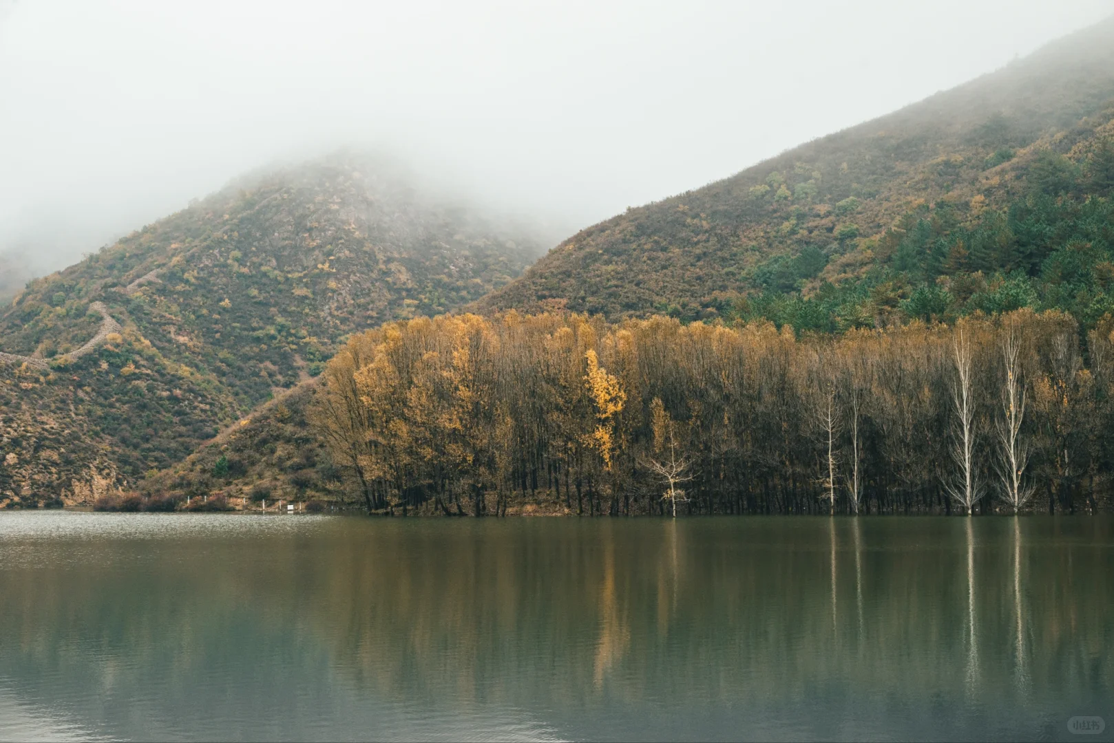 阿尔山平替!张家口这水库秋景美到窒息
