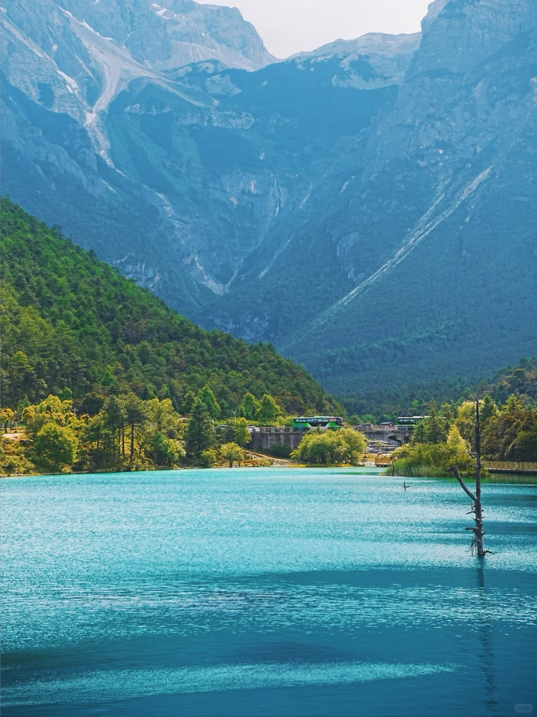 玉龙雪山❗️不做攻略真的太多坑（含详细攻略