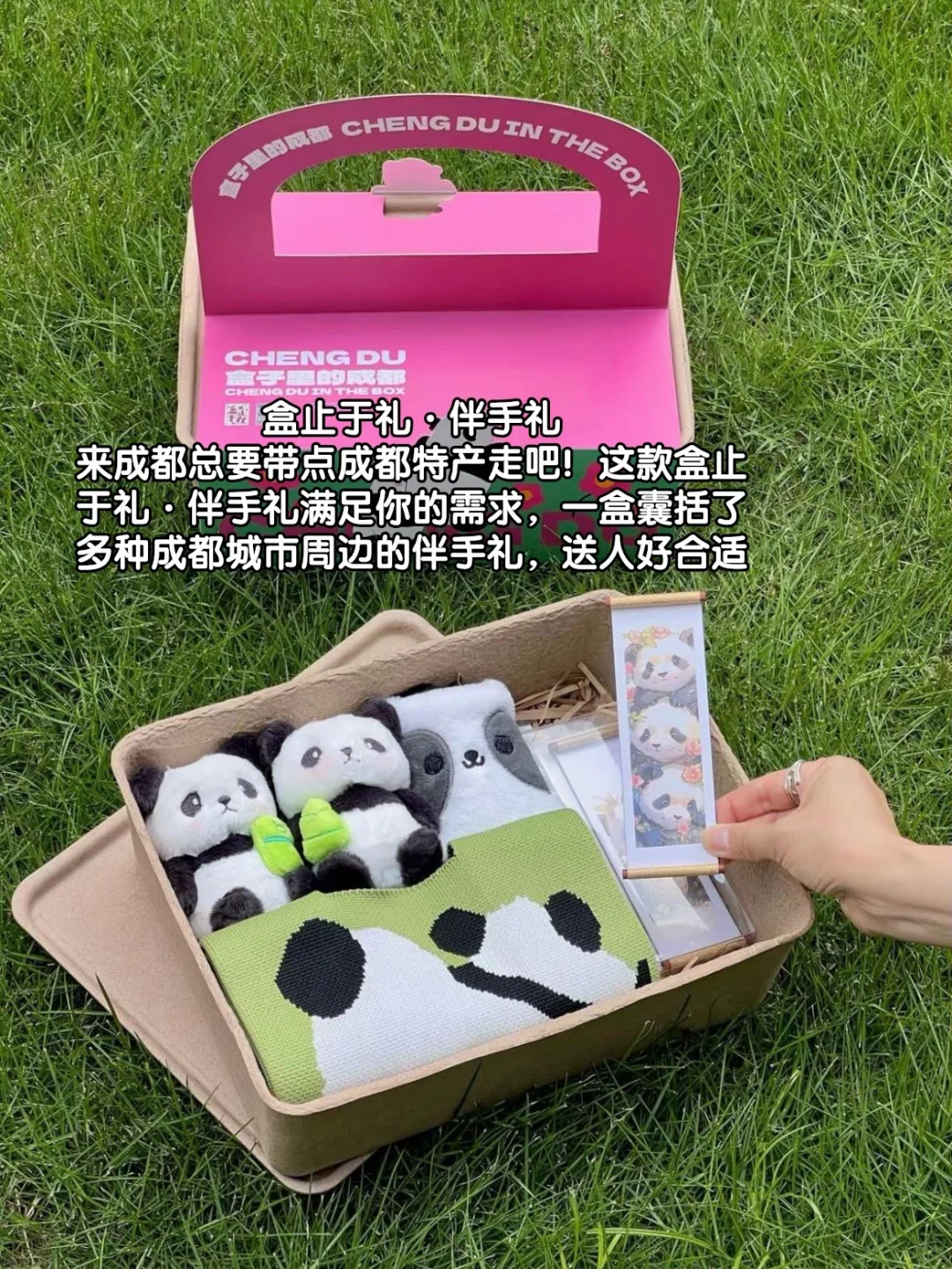 外地游客..真心不建议你们临时起意来成都