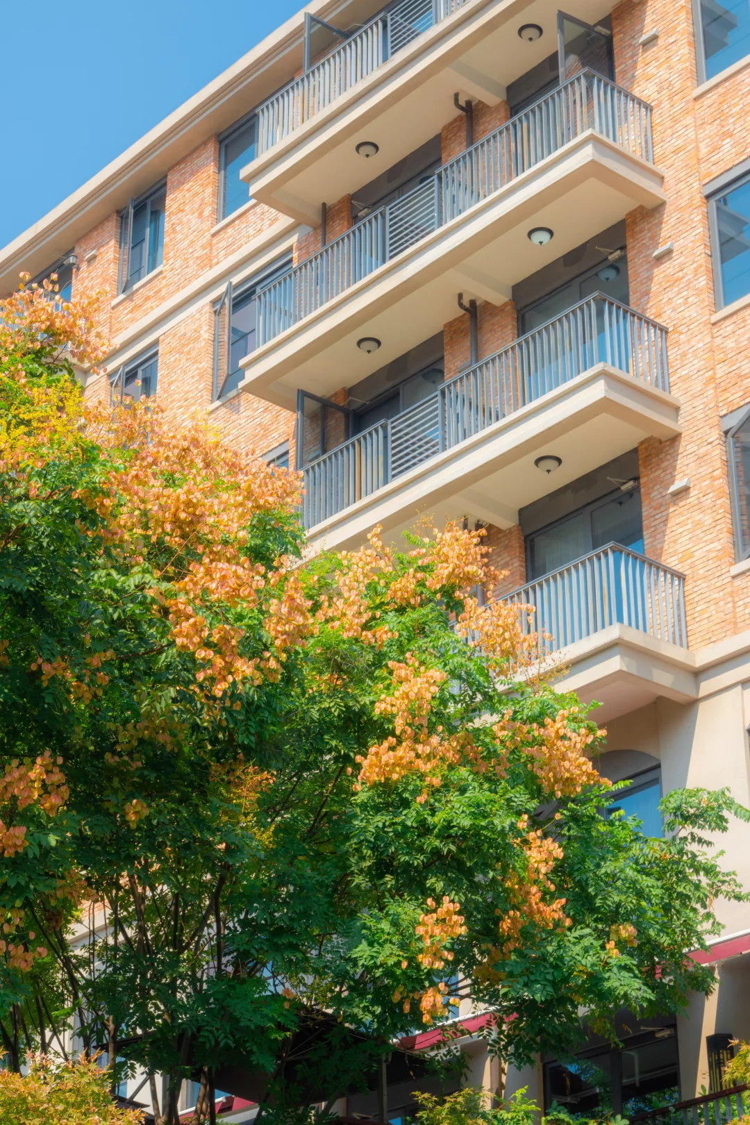 武汉两天两晚旅游攻略