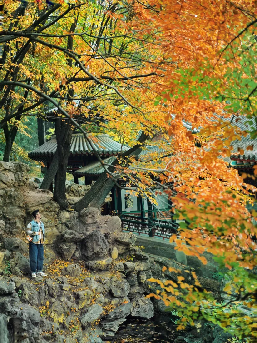 北京秋天🍁如果只能推荐一个公园…