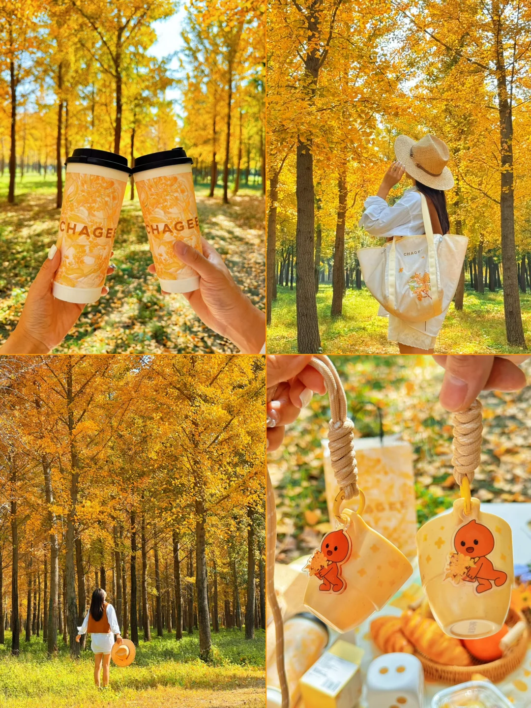 9.25实况❗️北京40分钟直达超美银杏林，人少！