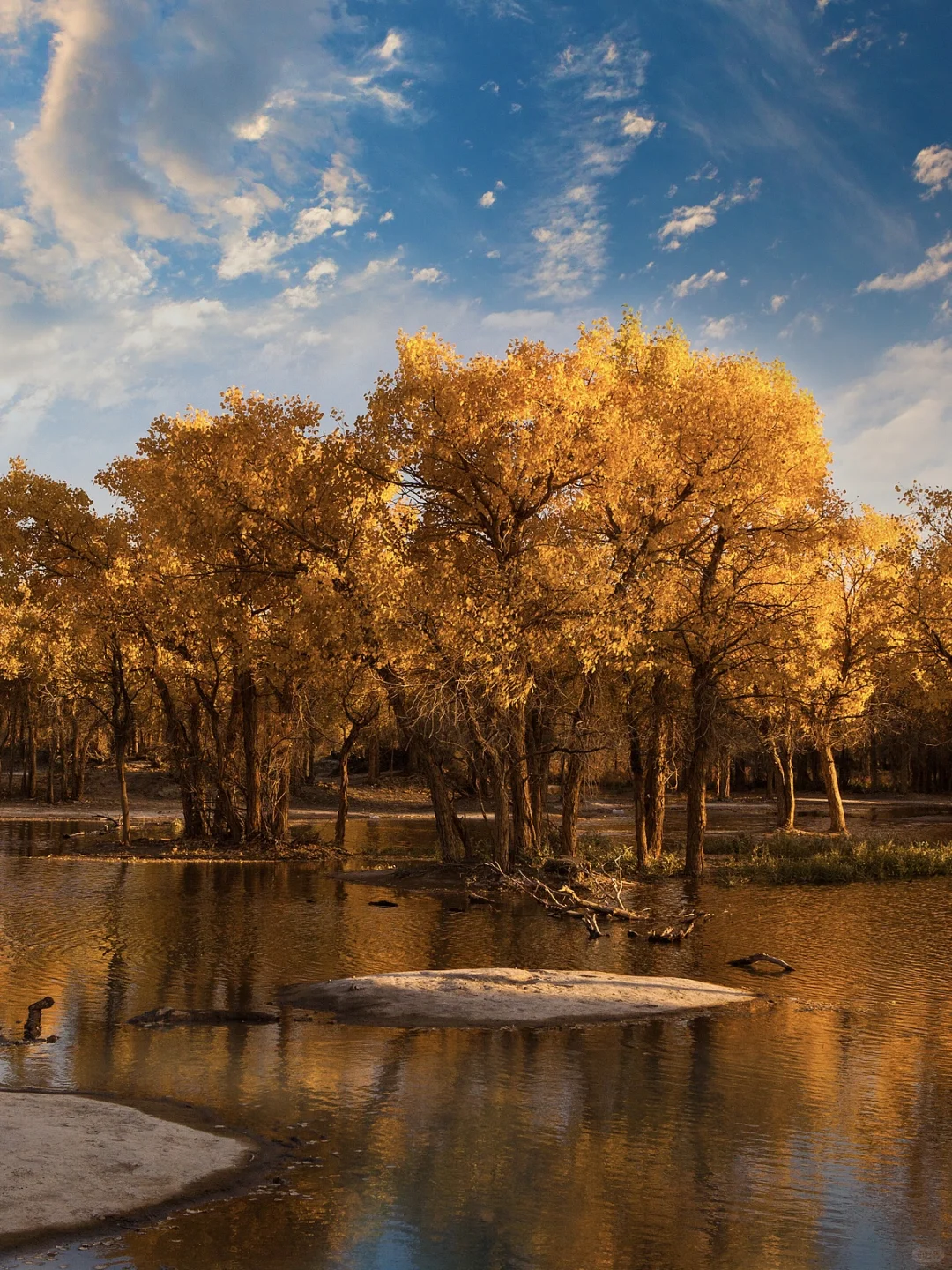 国内赏秋全攻略🍂胜地盘点（上）‼️
