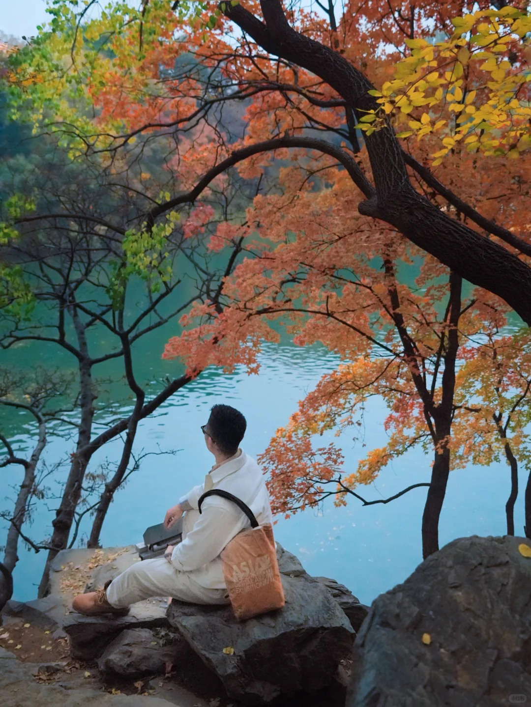 北京秋天🍁如果只能推荐一个公园…
