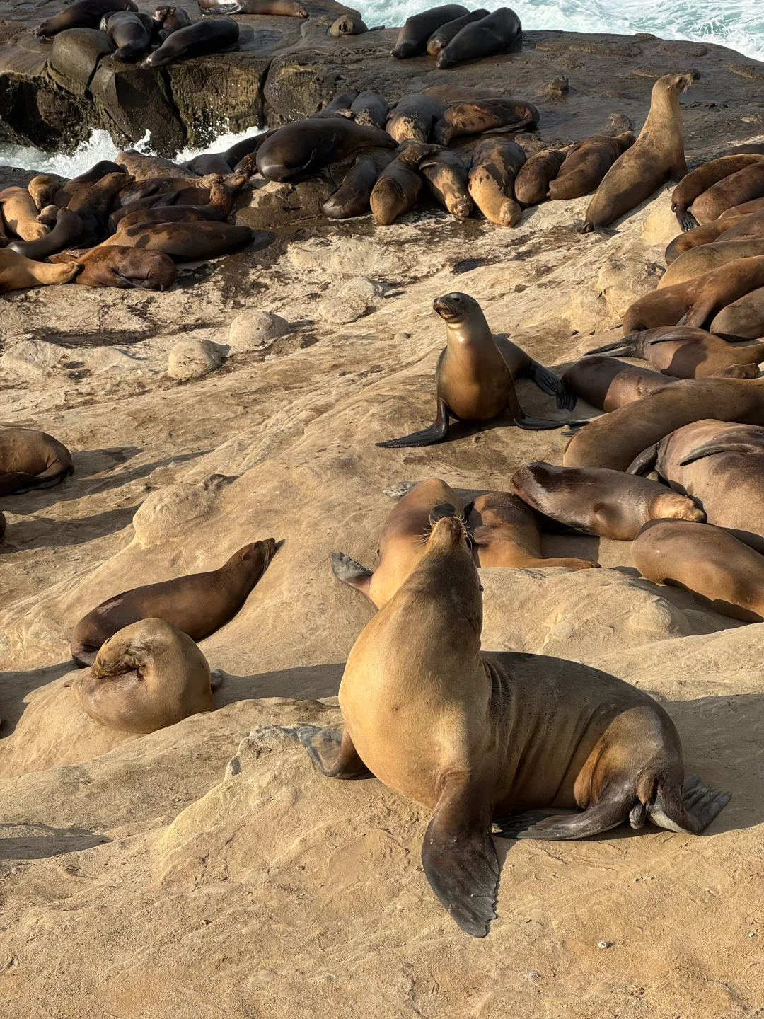 圣地亚哥3大必打卡景点！一日游攻略🌴