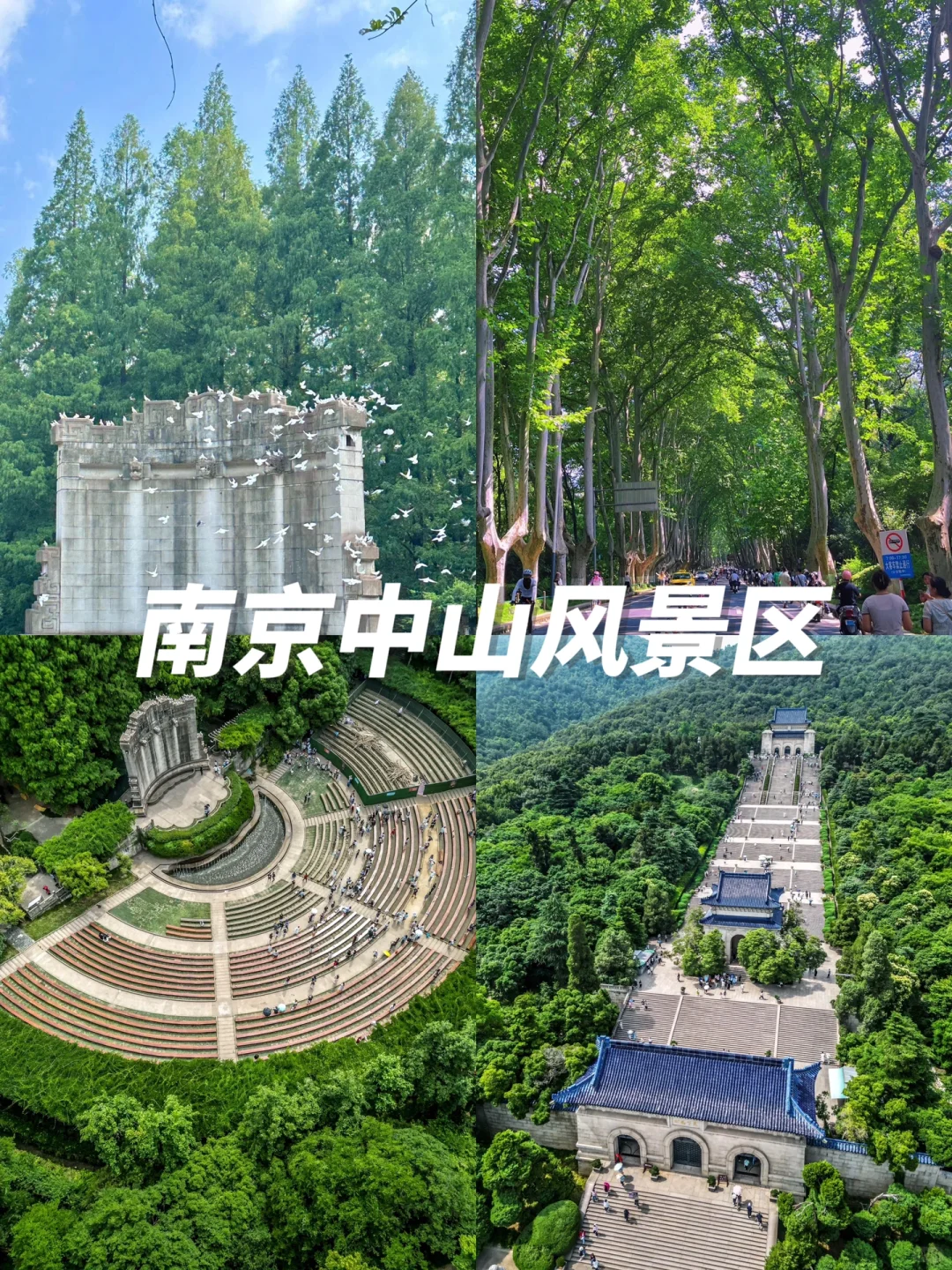 5月旅游胜地👏江苏这10个地方此生必去➡️