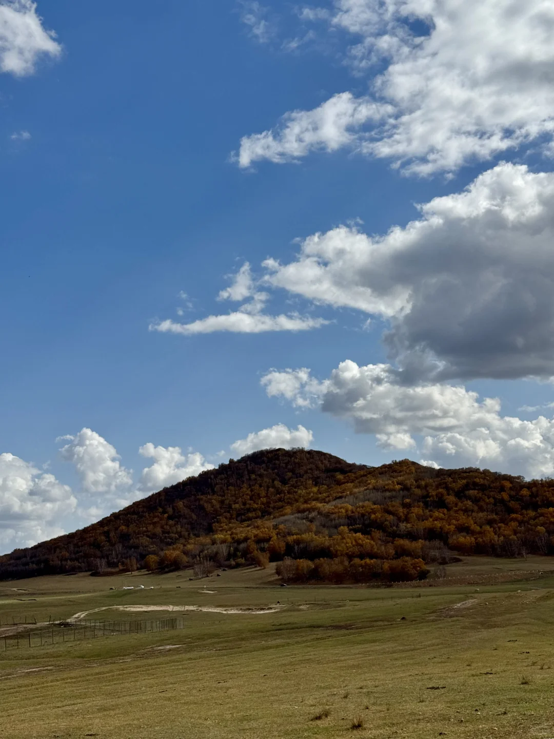 内蒙自驾实时分享|乌兰布统2025年最新攻略