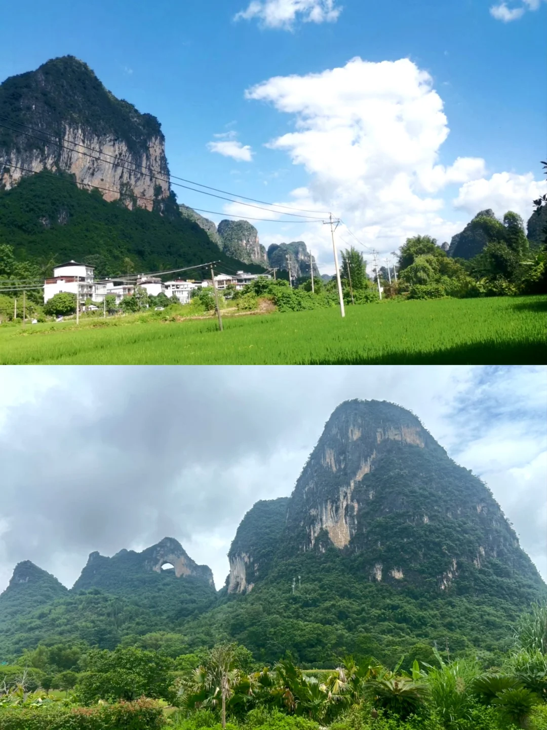 阳朔一日游可以玩到哪些精华景点🤗