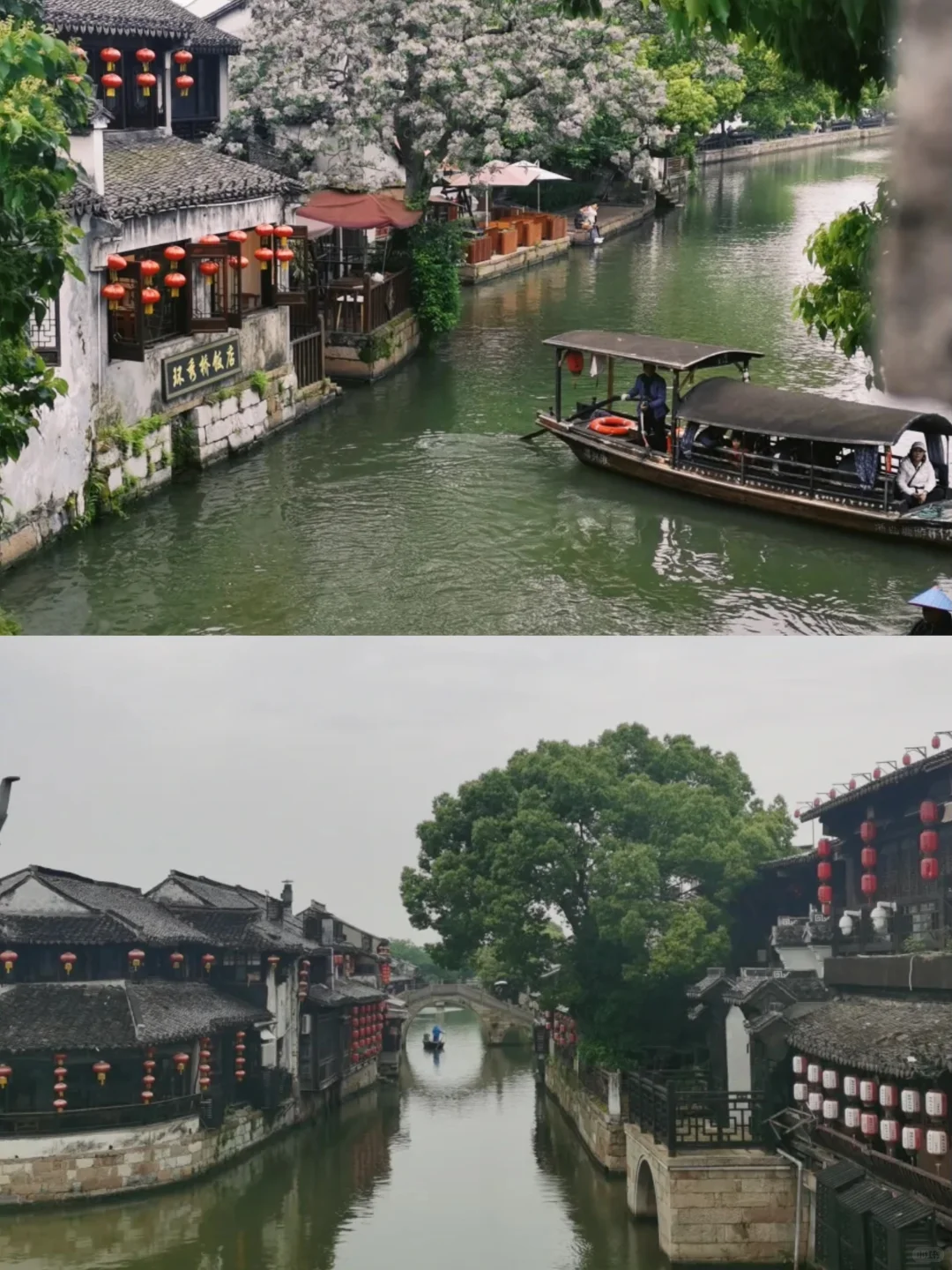 西塘的秋，有机会一定要开看