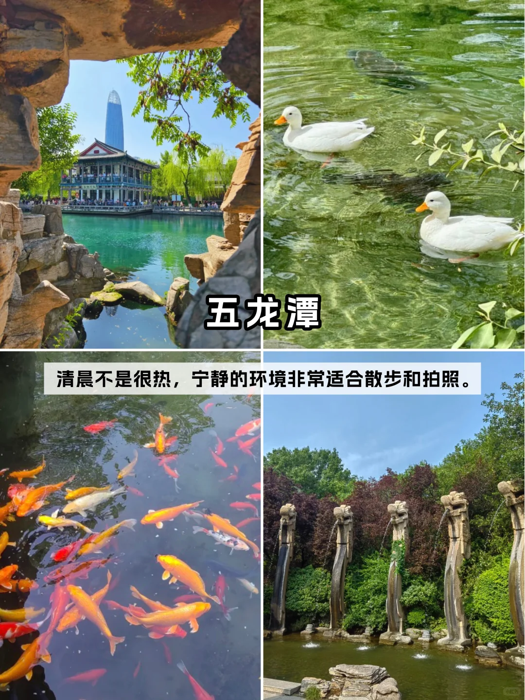 🚄济南1️⃣日游丨详细路线轻松不累