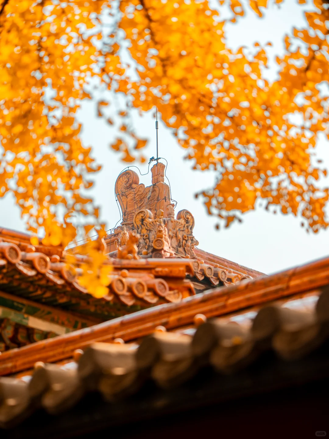 迄今为止❗️我最爱的北京赏秋citywalk 路线