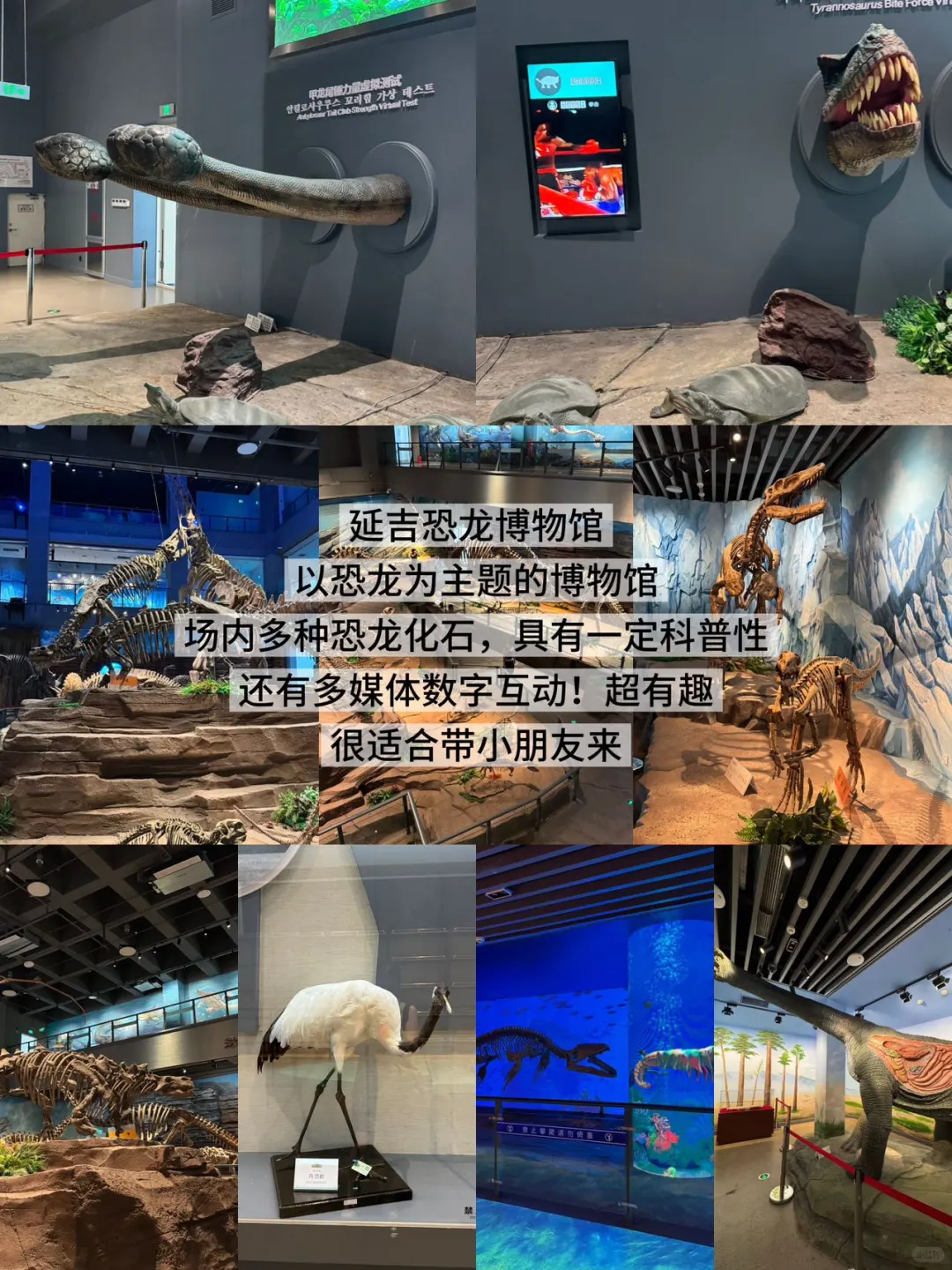 延吉已回。。我的建议是！！！（逛吃全攻略）