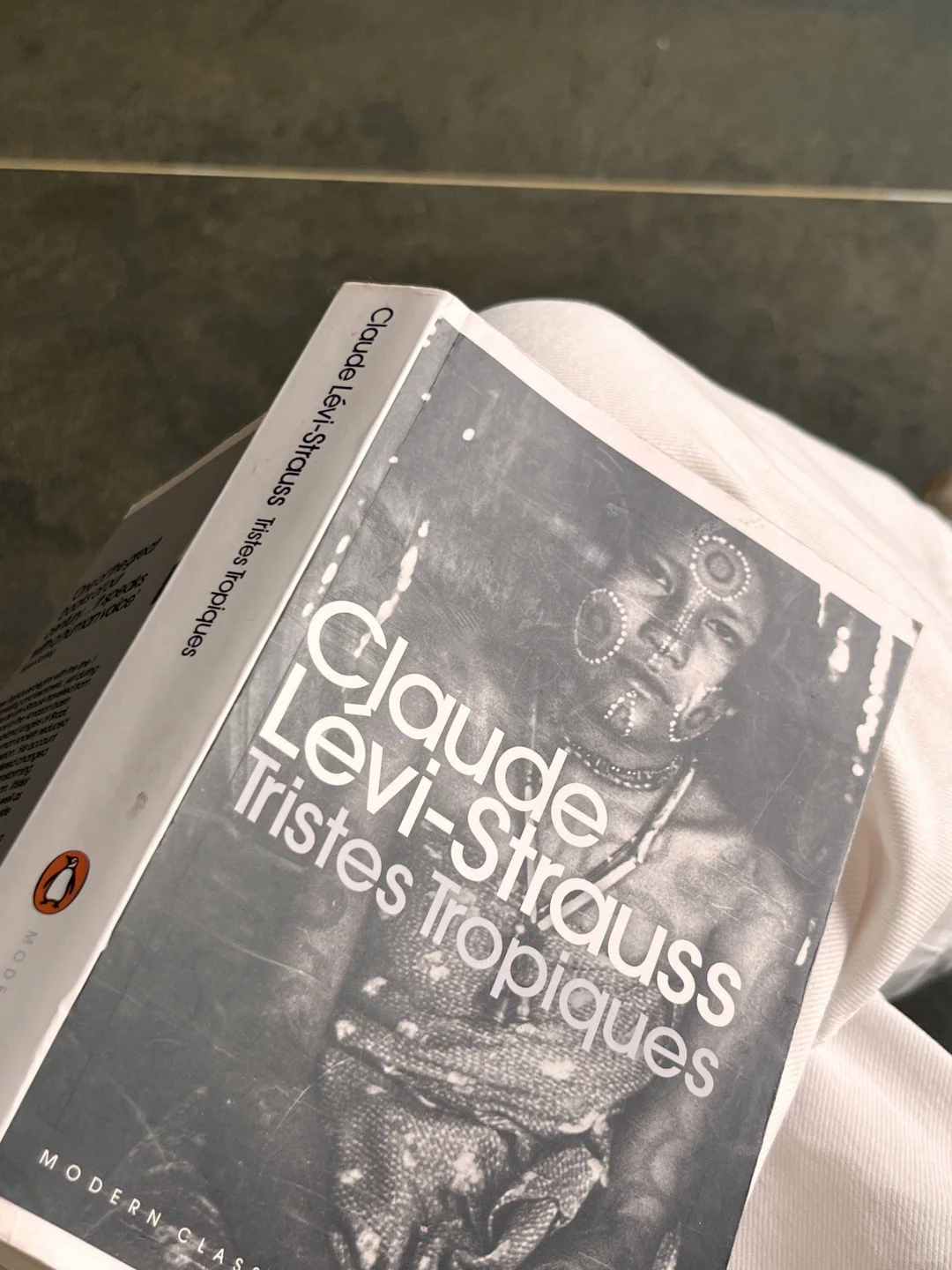 广州staycation|老广设计师的“部落绿洲”