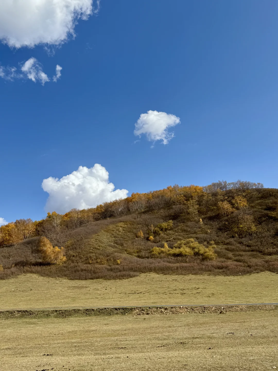 内蒙自驾实时分享|乌兰布统2025年最新攻略